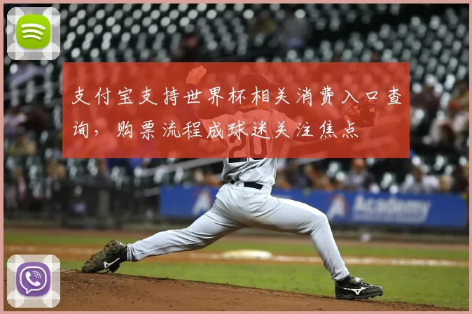 支付宝支持世界杯相关消费入口查询,购票流程成球迷关注焦点