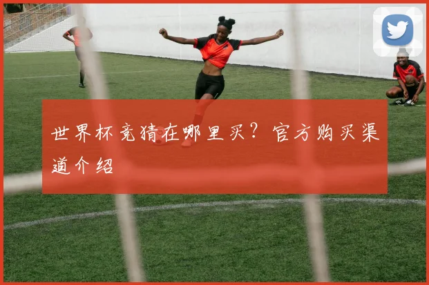 世界杯竞猜在哪里买？官方购买渠道介绍