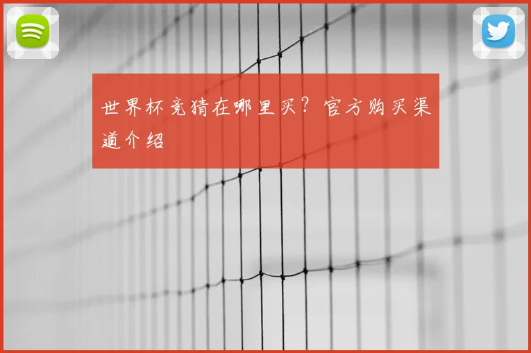世界杯竞猜在哪里买?官方购买渠道介绍