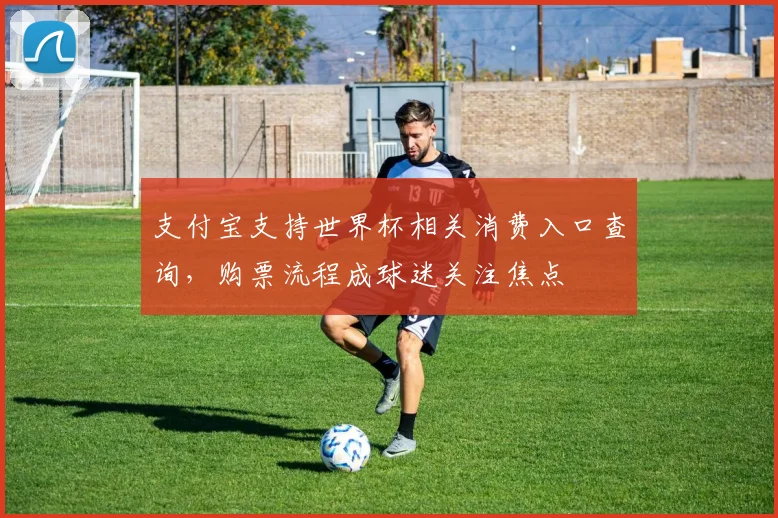 支付宝支持世界杯相关消费入口查询，购票流程成球迷关注焦点